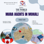 MARA Agents in Mohali