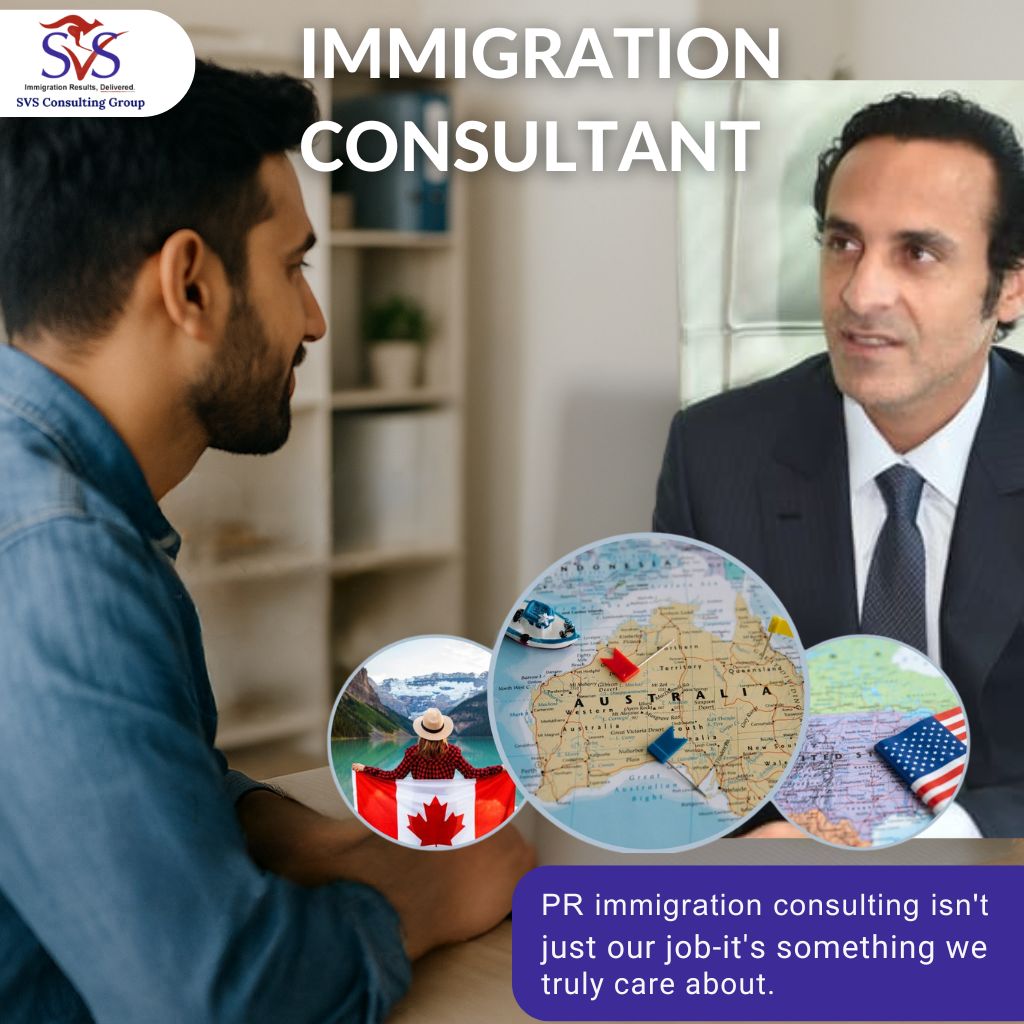 immigration consultant