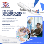PR Visa Consultants in Chandigarh